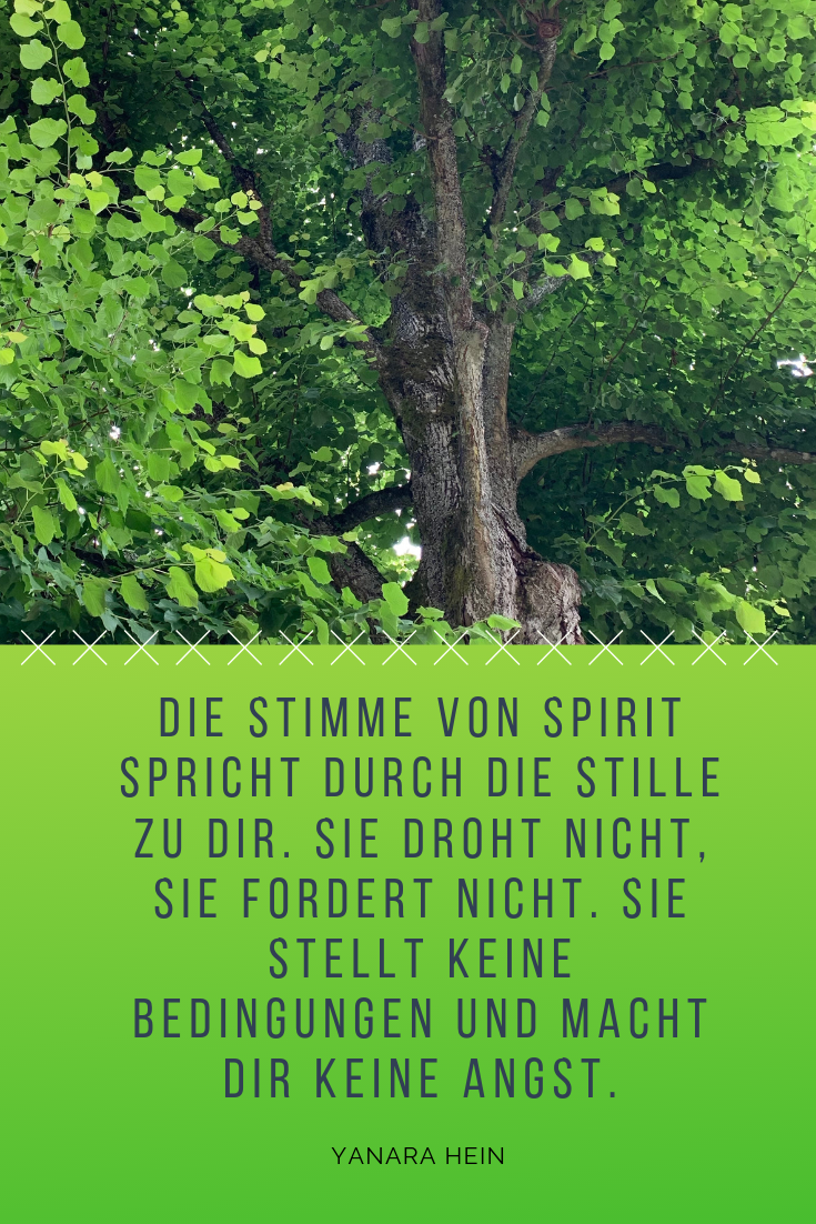 Vom schwierigen Umgang mit Information und wie du dennoch deine Wahrheit findest.