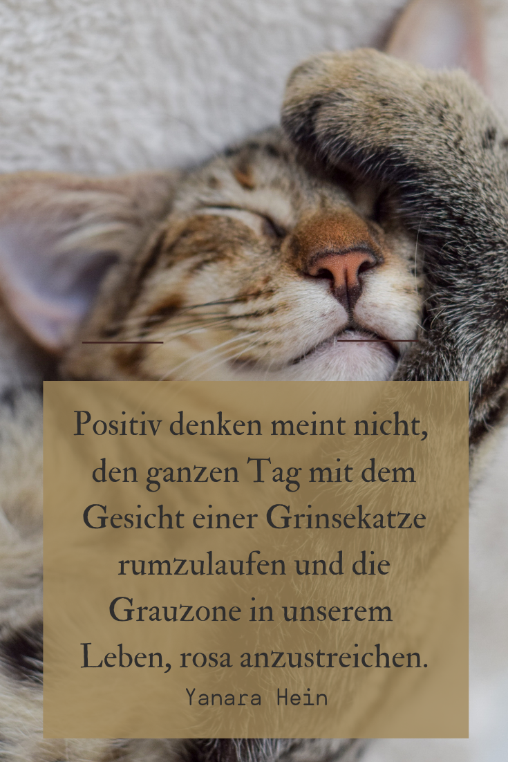 Positiv denken als heilsame Aufforderung, Achtsamkeit zu entwickeln, um den Gedanken-Loop zu unterbrechen, wenn wir schmerzhafte Erfahrungen aus der Vergangenheit in die Zukunft projizieren, das macht für mich Sinn.