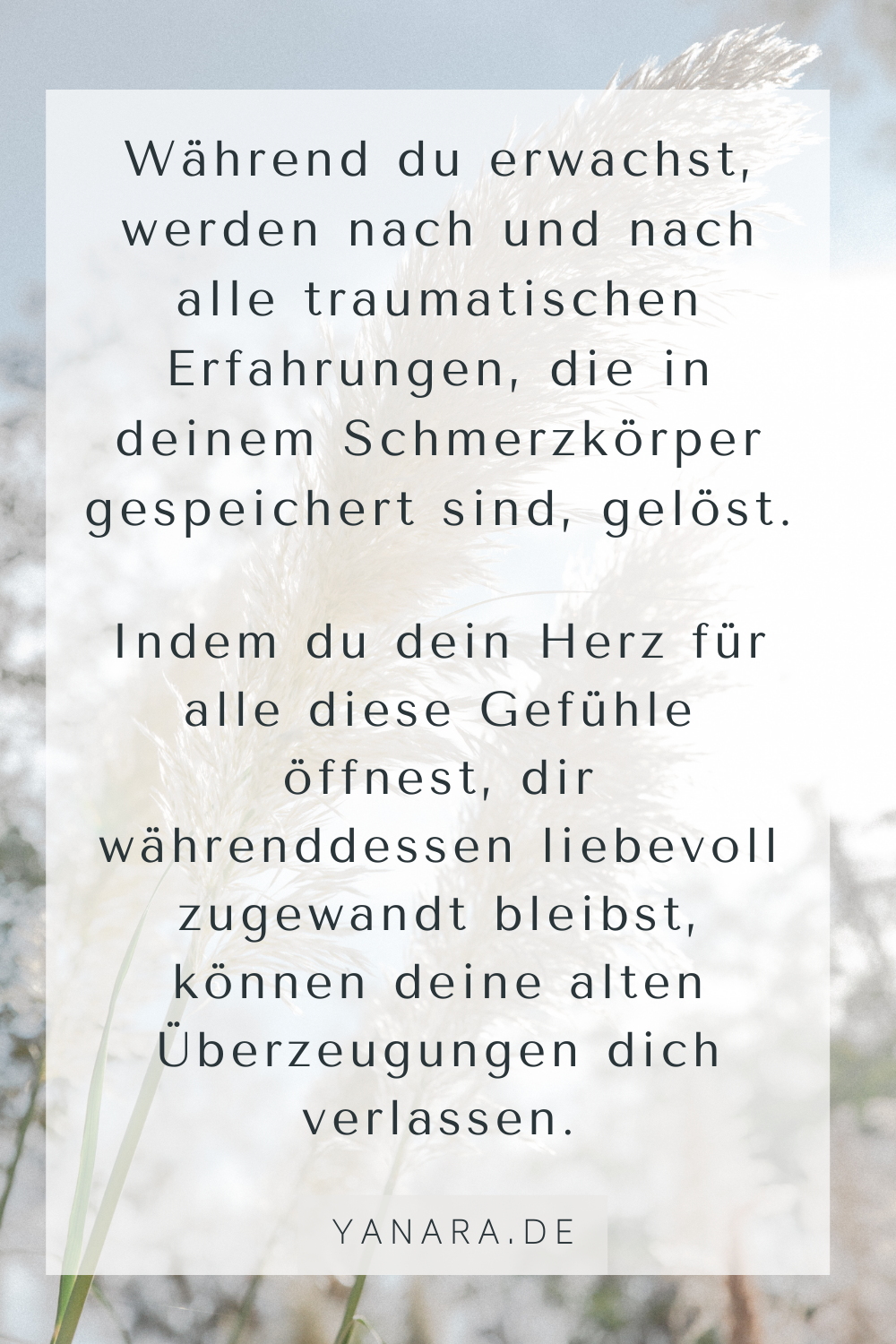 Wie es dir gelingt dein Bewusstsein zu shiften und neue Erfahrungen aus einem erwachten, höheren Seinzustand zu manifestieren. #Shift #Bewusstseinsshift #Manifestation #HigherSelf #Perspektivenwechsel #Spiritualität #Transformation #YanaraHein